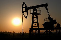 Возможность ОПЕК+ удерживать высокие цены на нефть оценили